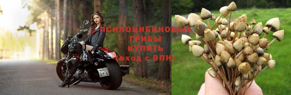 эйфоретик Алексин